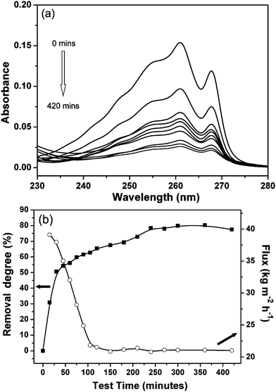 (a) UV spectra of toluene in feed solution (0 min) and permeated solutions collected at different times (15, 30, 45, 60, 90, 120, 180, 270, 420 min), and (b) removal degree (square) and flux (open circle) as a function of time.