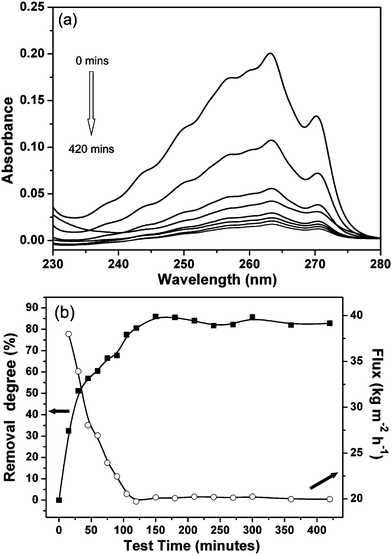 (a) UV spectra of chlorobenzene in feed solution (0 min) and permeated solutions collected at different times (15, 30, 45, 60,120, 240, 420), and (b) removal degree (square) and flux (open circle) as a function of time.