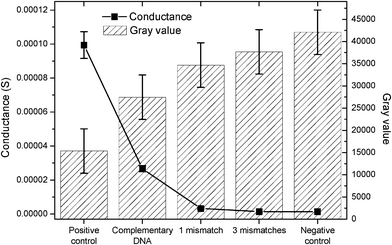 Comparison of optical and electrical measurements, showing the effect of hybridization efficiency/mismatching on the measured gray values and conductance.