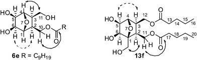 Dashed arrows connect nuclei which showed NOE on selective irradiation, and solid arrows indicate HMBC correlations; Carbon atoms are numbered arbitrarily.