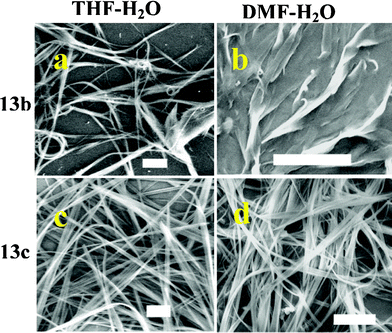 SEM imaging of samples 13b & 13c prepared from THF–H2O & DMF–H2O systems. Scale bar 10 μM.