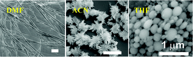 Solvent dependant aggregation of 13c in DMF, ACN & THF solvent systems. Scale bar 10 μM.