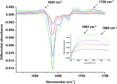 Evolution of the differential absorbance (after/before) irradiation of a 10−1 mol dm−3 DMDBTDMA solution in the 1550–1750 cm−1 spectral region as a function of the dose: 6.8 kGy (○); 13.6 kGy (□); 27.2 kGy (△) and 102 kGy (◇). The inset is a focus on the 1676–1700 cm−1 region. The spectra are recorded just after irradiation.