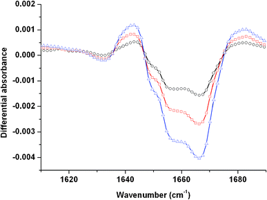 Evolution of the differential absorbance (after/before) irradiation of a 10−1 mol dm−3 DMDOHEMA solution in the 1600–1690 cm−1 spectral region as a function of the dose: 13.6 kGy (○); 20.4 kGy (□) and 34 kGy (△). The spectra are recorded just after irradiation.