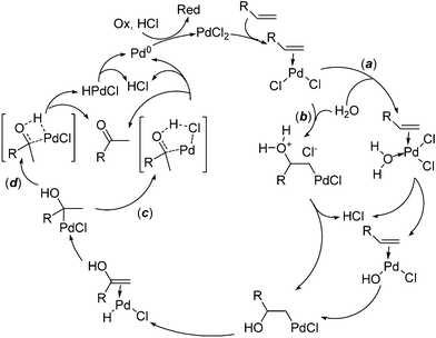 Mechanism of the Wacker reaction.