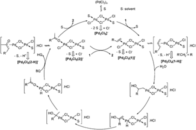 Proposed mechanism.