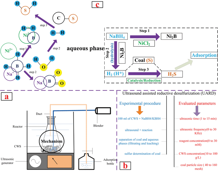 Schematic of apparatus, procedure and mechanism of UARD.