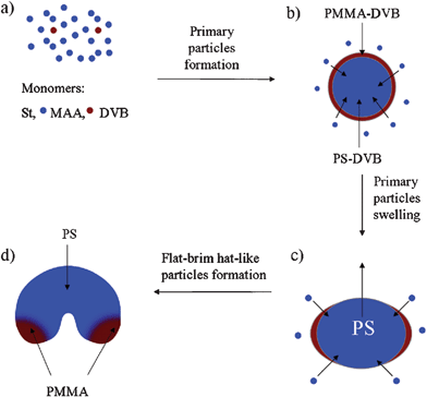 A schematic illustration showing the possible formation mechanism of the single-cavity latex particles via the modified SFEP of styrene.