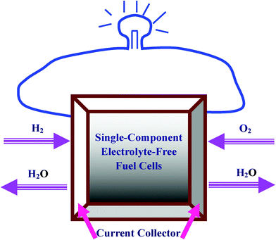 Schematic illustration of the single-component electrolyte-free fuel cells.