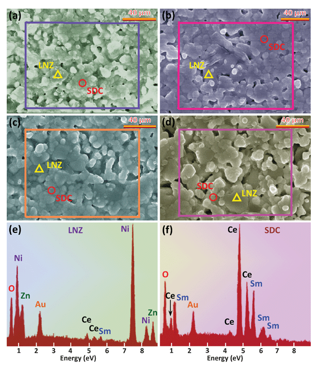 FE-SEM micrographs of (a) 9SDC-1LNZ (b) 8SDC-2LNZ (c) 7SDC-3LNZ, and (d) 6SDC-4LNZ samples sintered at 800 °C for 8 h. EDX data obtained at (e) large and (f) small particle area, indicating that the large particles can be identified as SDC, while the small ones LNZ. The vertical axis in (e) and (f) denotes the counts.