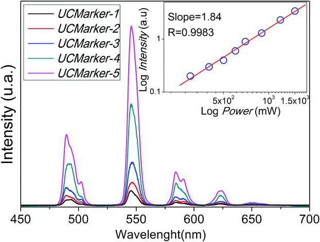 Room temperature UC photoluminescence of UCMarkers upon excitation at 980 nm. Insert plot represents the log-log dependence of the integrated intensity of Tb3+ 5D4 → 7FJ transition as function of incident excitation power after 980 nm excitation for UCMarker-5.