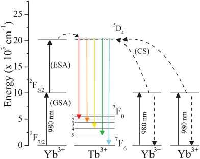 Schematic representation of UC mechanisms, exhibiting relevant levels of the Yb3+ and Tb3+ ions with the 5D4 → 7FJ Tb3+ transitions excited via Cooperative Sensitization (CS) and Ground State Absorption/Excited State Absorption (GSA/ESA).