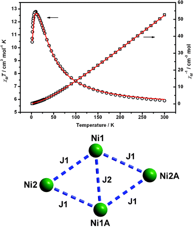 Top: Plot of χMT vs. T of 1 in an applied field of 2kOe. The solid lines represent the best-fit calculations. Bottom: The magnetic exchange interactions between the metal centers.