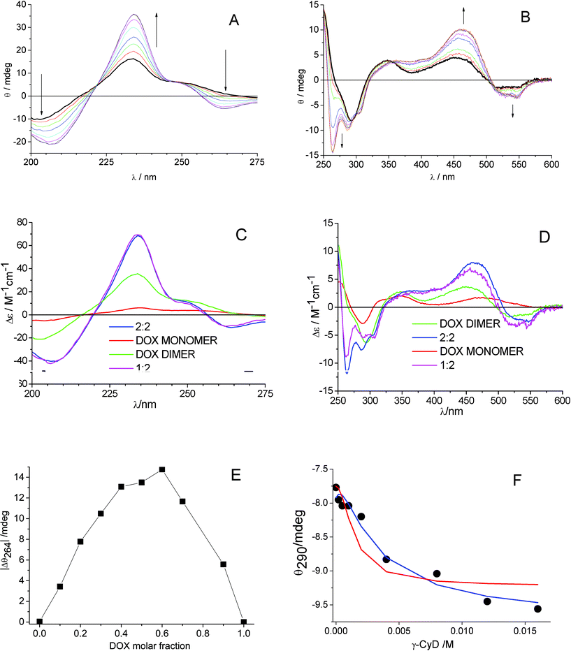 Ellipticity changes of DOX 1.6 × 10−4 M in 0.01 M phosphate buffer at pH 7.4 and 22 °C, titrated with γ-CyD in the concentration range 2.0 × 10−4 M - 1.6 × 10−2 M: (A) cell path 0.2 cm; (B) cell path 0.5 cm. The signal of γ-CyD alone was subtracted. (C), (D) Absolute CD spectra of DOX dimer (green), 1 : 2 γ-CyD:DOX complex (magenta) and 2 : 2 γ-CyD:DOX complex (blue) for log Kd/M−1 = 4.8 and log(K12/M−2) = 7.80 and log(K22/M−3) = 10.48. The spectrum of free DOX monomer (red) was fixed in the calculations. (E) Modified Job plot of absolute value of ellipticity of γ-CyD–DOX mixtures at 264 nm, (|Δθ264|), after subtraction of the signal of DOX alone, vs.DOX molar fraction, total concentration of DOX and γ-CyD = 10−3 M. (F) Comparison of experimental (•) and calculated (line) ellipticity at 290 nm for the model with 2 : 2 complex only (red, log(K22/M−3) = 10.8) and 1 : 2 + 2 : 2 complexes (blue).