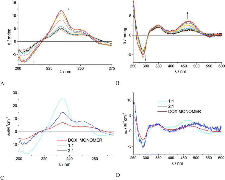 Ellipticity changes of DOX 1.0 × 10−5 M in 0.01 M phosphate buffer at pH 7.4 and 22 °C, titrated with γ-CyD in the concentration range 5.0 × 10−5 M–1.2 × 10−2 M: (A) cell path 2 cm; (B) cell path 4 cm. The signal of γ-CyD alone was subtracted. (C), (D) Absolute spectra of DOX monomer (red), 1 : 1 (cyano) and 2 : 1 (blue) γ-CyD:DOX complexes, for log(K11/M−1) = 2.7 ± 0.2 and log(K21/M−2) = 4.4 ± 0.5.