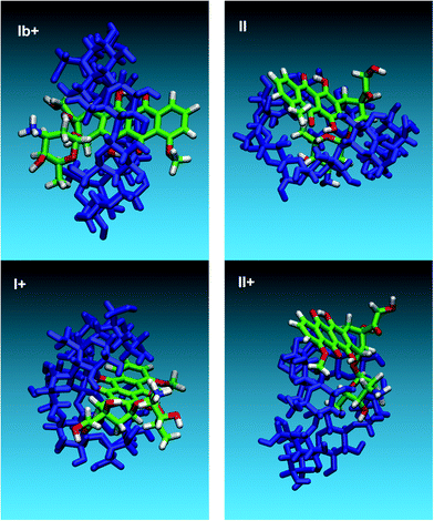 Typical geometric arrangements obtained in the MD simulations. The labels correspond to the initial settings in Scheme 2.