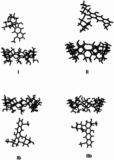 Initial geometries for γ-CyD/DOX system assumed for Molecular Mechanics (MM) and Molecular Dynamics (MD) calculations: I and II, aglycone and daunosamine units facing secondary γ-CyD rim, respectively; Ib and IIb, aglycone and daunosamine units facing the primary γ-CyD rim, respectively.