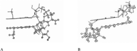 Proposed doxorubicin dimer structures, (A) parallel, (B) antiparallel arrangement.30