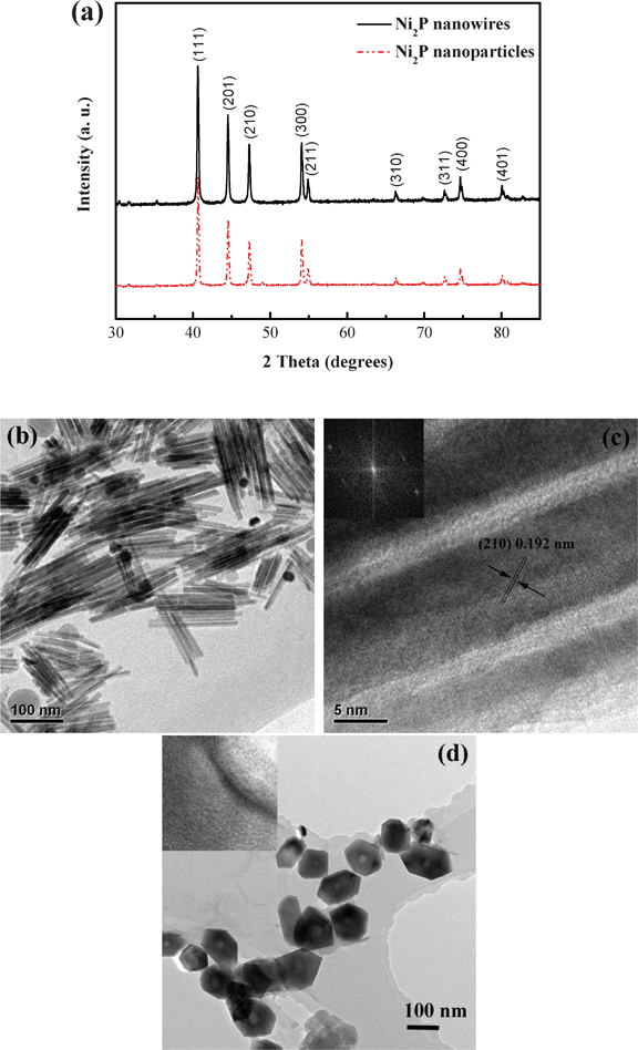 (a) XRD patterns of Ni2P nanowires and nanoparticles. (b) TEM image of Ni2P nanowires. (c) HRTEM image of Ni2P nanowires, and the inset is the FFT pattern of the corresponding single nanowire. (d) TEM image of Ni2P nanoparticles.