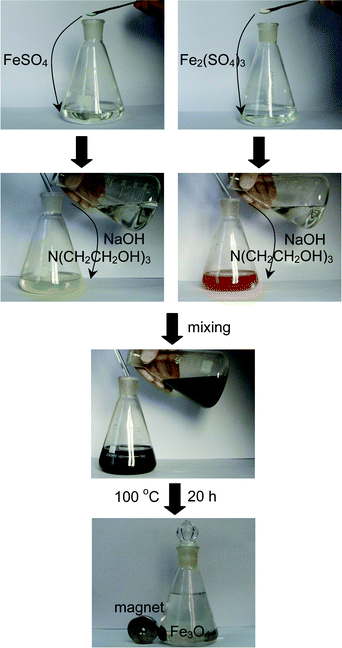 Photographic illustration of the procedure for synthesis of Fe3O4 peony structures.