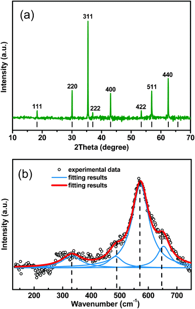 (a) XRD pattern of the Fe3O4 peony structures. Vertical bars indicate the peak positions of Fe3O4 (JCPDS no. 19-0629). (b) Raman spectra of the Fe3O4 peony structures.