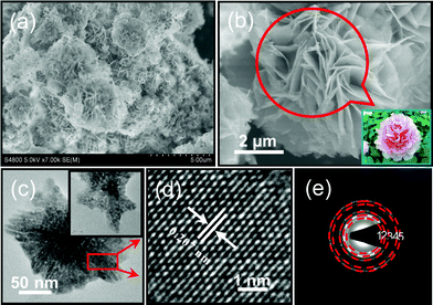 (a) Low-magnification and (b) high-magnification SEM images of the Fe3O4 peony structures (inset shows the digital picture of a peony in China). (c) TEM image of an individual Fe3O4 petal-like nanoslice (inset shows high-magnification TEM image of an individual nanoslice), (d) HRTEM image and (e) SAED pattern recorded from the rectangular part of the nanoslice in Fig. 4c.