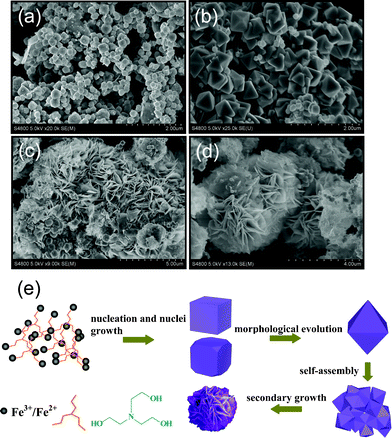 SEM images of Fe3O4 products collected for different time intervals of (a) 1, (b) 5, (c) 10 and (d) 20 h. (e) Schematic illustration of the formation process of the Fe3O4 peony structures.