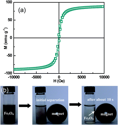 (a) Magnetic hysteresis curve of the Fe3O4 peony structures measured at 295 K. (b) Photographs of as-prepared Fe3O4 peony sample dispersed in water (left), initially separated by an external magnet (middle), and response to a magnet after about 10 s (right).