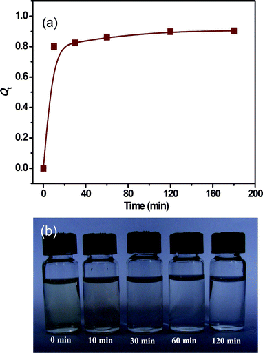 (a) Adsorption of Cr(vi) on the as-prepared Fe3O4 peony sample at room temperature. (b) Photographs of absorption of Cr(vi) on Fe3O4 peony sample at different times.