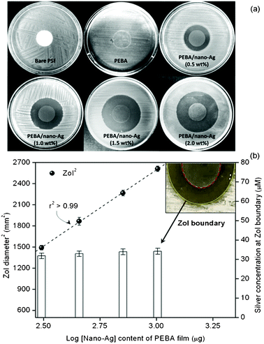 Antimicrobial test results of PEBA and PEBA/nano Ag by disc diffusion test (n = 5).