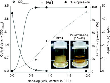 Surface contact test of PEBA and PEBA/nano-Ag with suspended E. colicells.