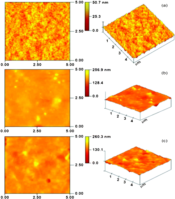 
              AFM images of freshly prepared membranes: (a) pristine PSf; (b) PEBA coated PSf; (c) PEBA/nano-Ag coated PSf.