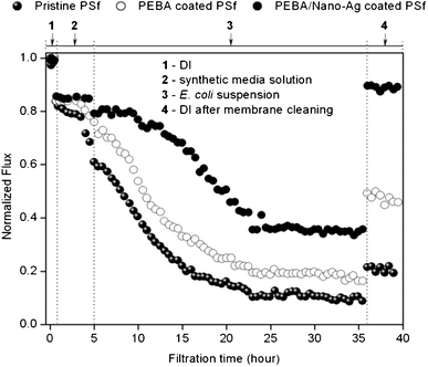 Flux test of the modified PSf membranes using synthetic media inoculated with E.colicells as feed.