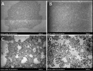 STEM images of final products under different conditions: A) microreactor, 5% DDA; B) 100 ml batch reactor, 5% DDA; C) microreactor, 20% DDA; D) 100 ml batch reactor, 20% DDA.