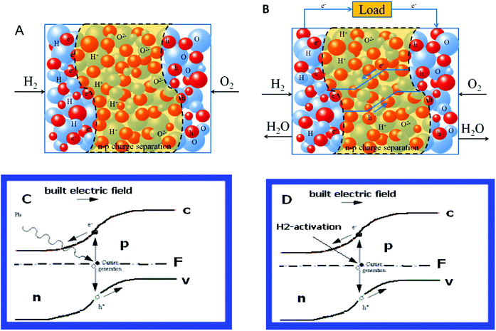 (A) Initiated by the H2 and air (O2) reactions due to bi-catalysis of the component the device sets up the cell voltage and built-in electric field which drives the charge separations for electrons and holes as well as the ionic and electronic phases. (B) The electrons and holes form a junction barrier to support the device function, the open circuit voltage as high as for the fuel cell due to H2–air processes going with the component, the electrons and holes moving towards each counter electrode without passing internally through the component. The ions (H+ and O2−) and electrons/holes contribute to the current output and conduct effectively. (C) & (D) Similarities of scientific principle between the solar cell and the new device, where n: n-type, p: p-type, F: Fermi level, c: conduction band, v: valence band.