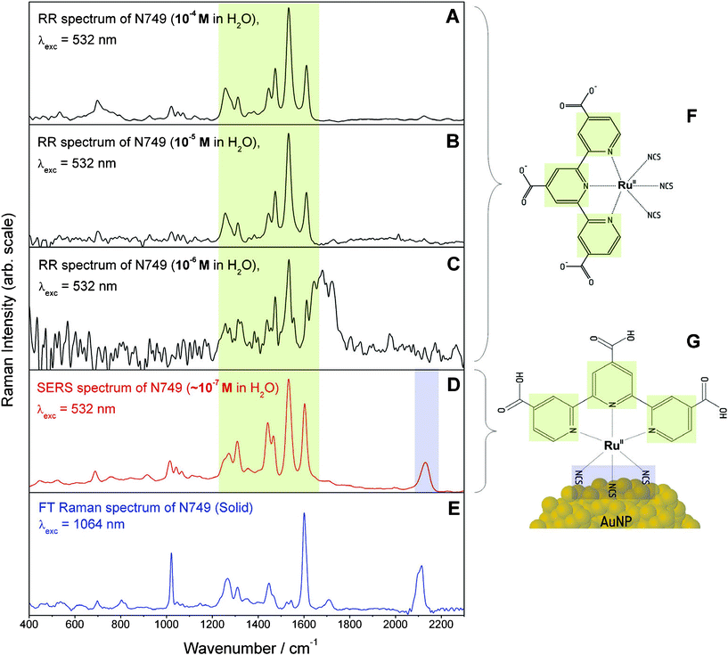 Comparison of RR spectra at 10−4, 10−5 and 10−6 M (A–C), SERS (D) and nonresonant FT-Raman (E) spectra of N749. The broad spectral feature around 1700 cm−1 in panel C is an artefact resulting from subtracting the solvent spectrum. The charge localization on the terpy ligand upon MLCT absorption within the fingerprint spectral region from 1000–1800 cm−1 is marked in green while the binding site via the isothiocyanate group at 2100 cm−1 is highlighted in blue. In panels F and G the structure of the ruthenium dye in solution and the hypothesized binding geometry on the NP surface are depicted. The structural elements are colour coded corresponding to the assignment of the Raman spectral features.