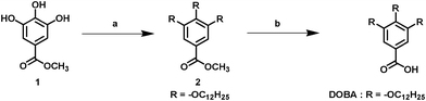 Synthesis of the DOBA. Reagents and conditions: a) 1-bromododecane/compound 1, potassium carbonate (K2CO3), potassium iodide (KI), butanone, reflux, b) DOBA; tetrahydrofuran (THF), MeOH, potassium hydroxide (KOH) in water, refluxed for 3 h.