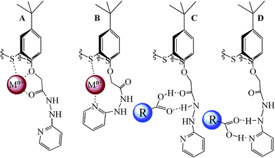 The possible coordination patterns of the “hard” (A), “soft” (B) metal cations and dicarboxylic acids (C, D).