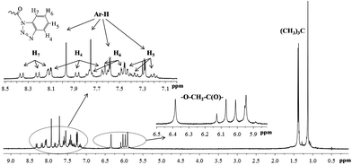 
            1H NMR spectra of the compound 10b (in CDCl3, 25 °C, 300 MHz).