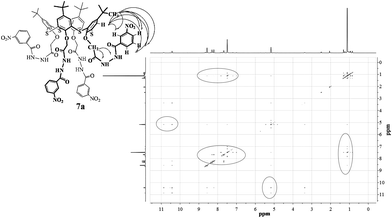 Two-dimensional 1H–1H NOESY NMR spectra of the compound 7a (in (CD3)2SO, 25 °C, 500 MHz).