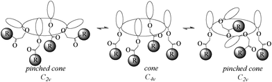 Conformational interconversion: pinched cone–cone–pinched cone of the p-tert-butylthiacalix[4]arene derivatives.