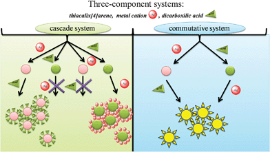 The possible ways for formation of the cascade and commutative three-component systems.