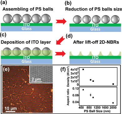 (a)–(d) Schematic illustrations of the preparation of 2D NBRs on ITO/glass substrate. (e) Scanning electron microscopy (SEM) and optical microscopy images of 2D-NBRs. (f) Density and aspect ratio as a function of PS ball diameter.