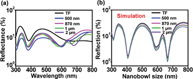 (a) Reflectance spectra of 2D-NBRs with different PS ball diameters. (b) Simulated reflectance spectra of 2D-NRs with different PS ball diameters.