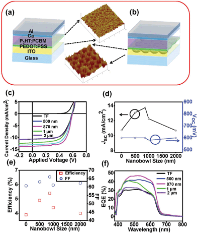 (a) And (b) show schematics of conventional planar and 2D-NBRs devices. Insets show the surface morphologies taken with an atomic force microscope. (c) The I–V results for devices with planar and 2D-NBRs with different PS ball diameters measured under illumination of AM 1.5 with a light intensity of 100 mW cm−2. (d)–(f) Short-circuit current density (JSC), open circuit voltage (VOC), power conversion efficiency (PCE), filling factor (FF), and external quantum efficiency (EQE) as a function of different PS ball diameter.