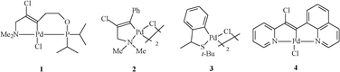 Palladacycles developed by our group.