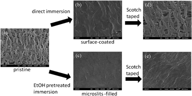 FE-SEM images of (a) pristine PE (b–d) surface coated Pdop and microslits-filled Pdop PE films before and after peeling by Scotch tape.