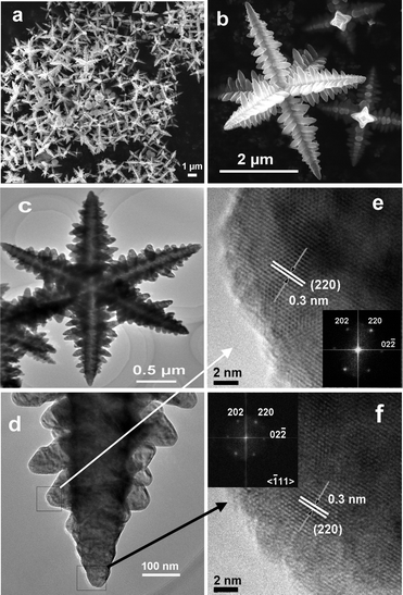 (a) A general view of representative FESEM images of Fe3O4 hierarchical hexapods prepared in isopropanol at 350 °C for 12 h. (b) Higher magnification image of an individual h-hexapod in (a). (c) TEM image of Fe3O4h-hexapods prepared at 350 °C for 6 h in isopropanol. (d) Magnified TEM image of one arm from (c). (e, f) HRTEM images of the sub-branch (e) and the tip (f) of one arm from (d). The insets in (e) and (f) are their corresponding FFT patterns.