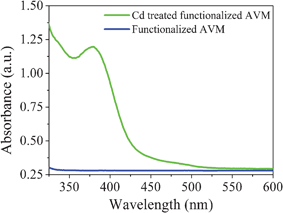 UV-vis spectra of dispersed solution of functionalized AVM before and after treatment with cadmium solution.