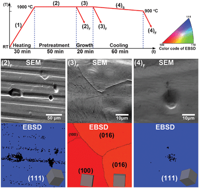 The temperature profile of CVD process and SEM/EBSD results of (2)F heat-treated Cu foil, (3)F fast-cooled graphene/Cu and (4)F slow-cooled graphene/Cu samples. The color code and inset 3D-cubic indicate the lattice orientation of each Cu grain. Under a H2 atmosphere, the heat-treated Cu foil shows a large-area single-crystalline feature Cu(111) orientation, as well as slow-cooled graphene/Cu samples. Sometimes these Cu(111) grains could be as large as a few millimetres. Whereas the Cu in fast-cooled graphene/Cu samples always show poly-crystalline features.